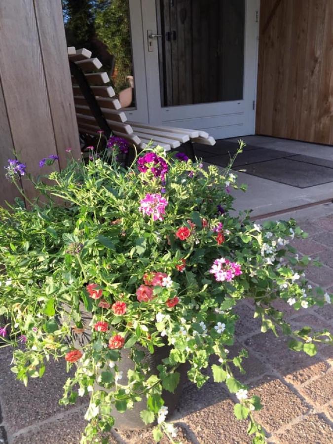 Bed and Breakfast Erve Toon'Boer Mander Экстерьер фото